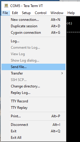 TeraTerm File Menu